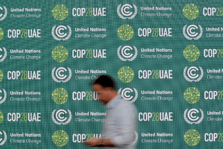 La sostenibilità alimentare (e proteica) è stata al centro della Cop 28