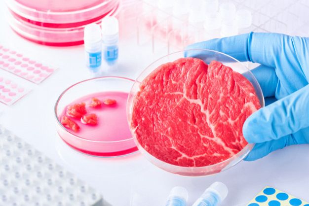 Le tante opportunità per frenare il consumo di carne
